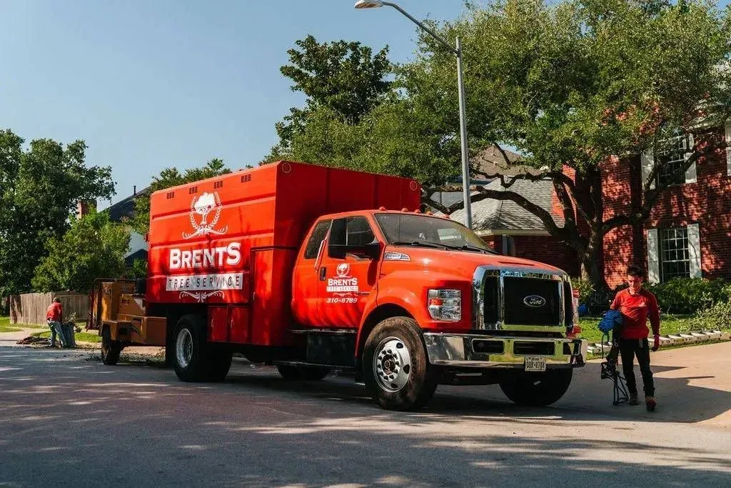 Commercial Tree Care 4