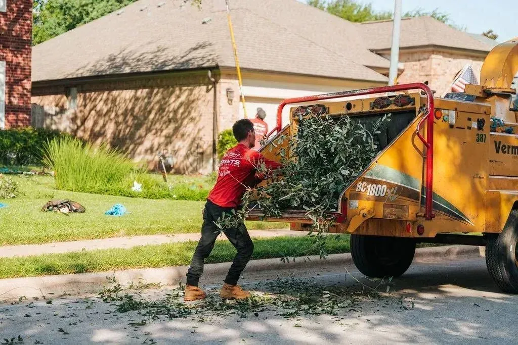 Stump Grinding 3