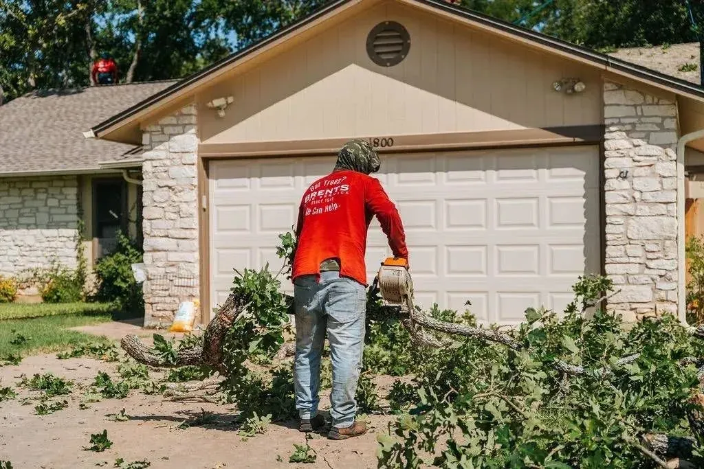 Worker with chainsaw trimming branches near house